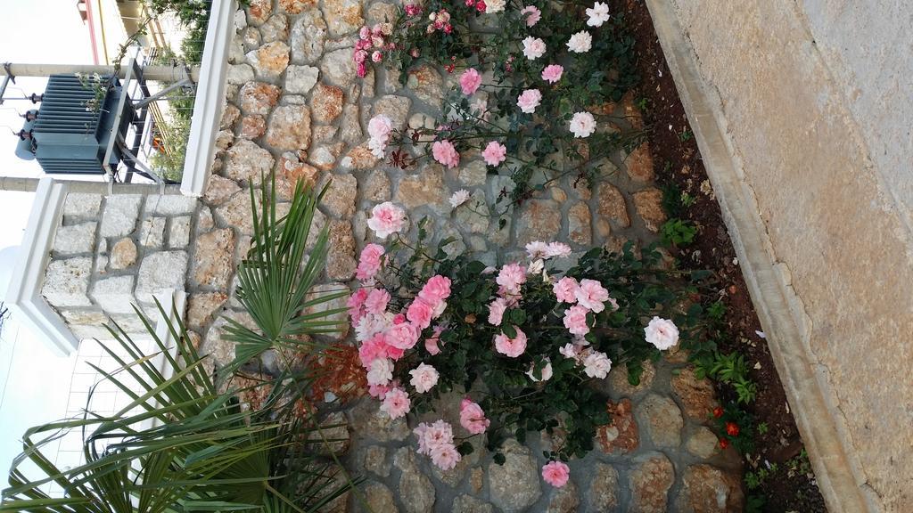 Season Dhermi